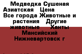 Медведка Сушеная Азиатская › Цена ­ 1 400 - Все города Животные и растения » Другие животные   . Ханты-Мансийский,Нижневартовск г.